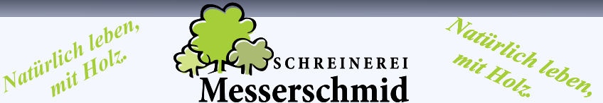Logo_Messerschmid.PNG